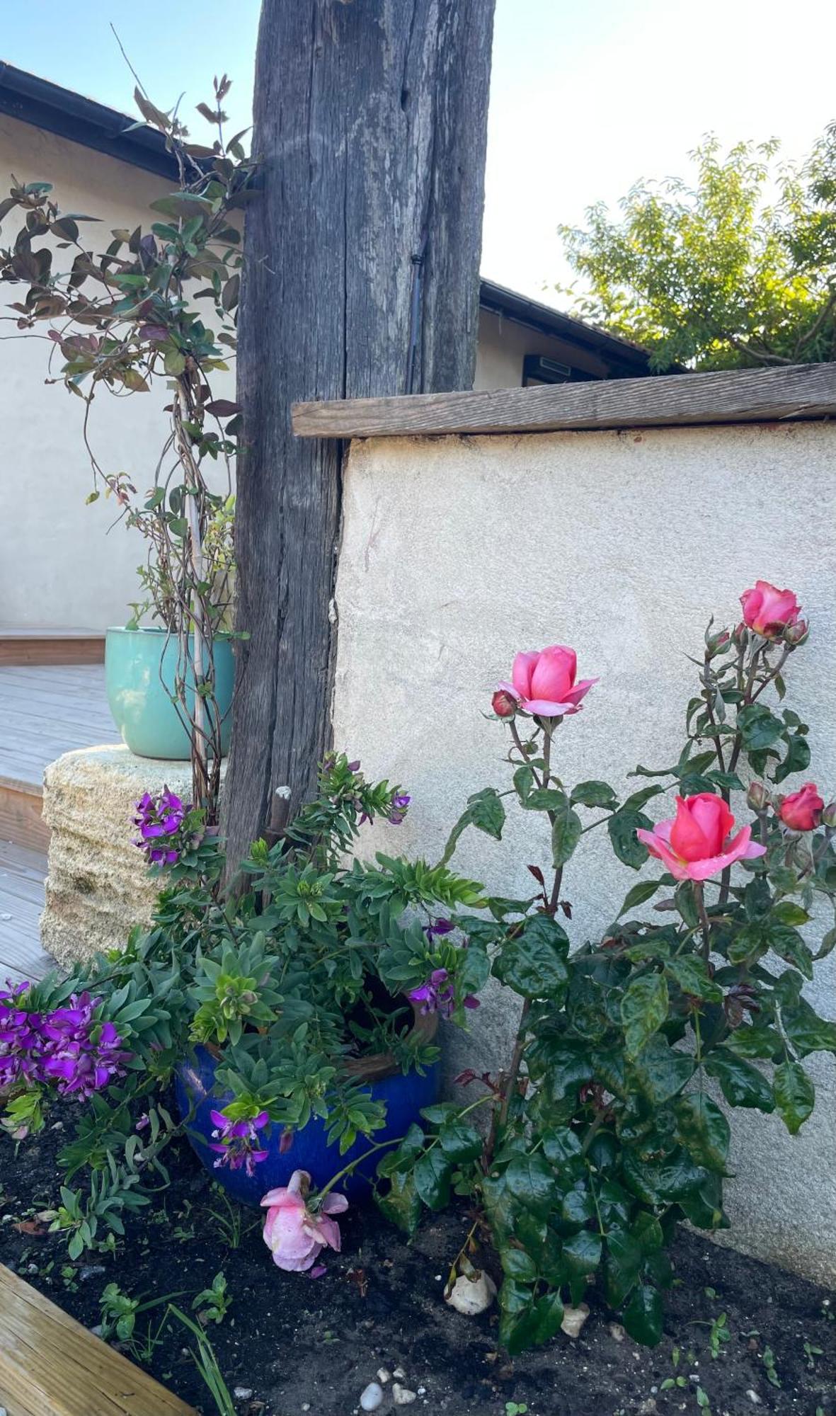 Bed and Breakfast Instant Zen Saint-Vivien-de-Médoc Esterno foto